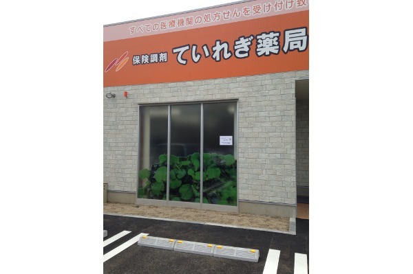 ていれぎ薬局(薬剤師の求人)の写真:ていれぎ薬局の外観です
