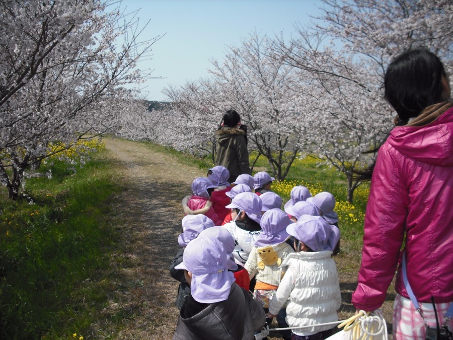 たんぽぽ第二保育園の写真5枚目：