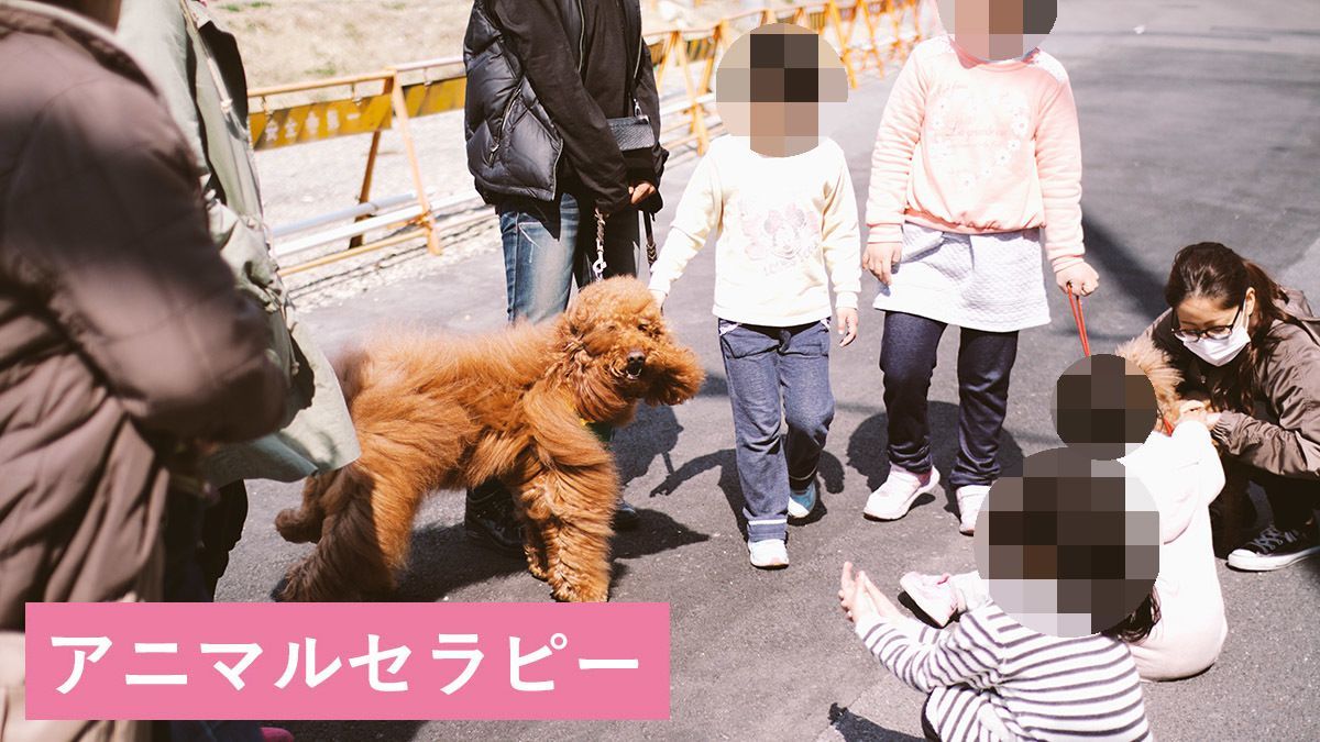 放課後等デイサービス アネラ（保育士の求人）の写真9枚目：