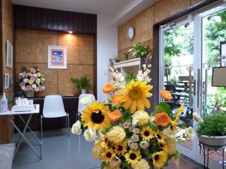 ハルク整骨院 新松戸の写真