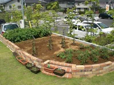 デイサービスひたち野牛久（作業療法士の求人）の写真2枚目：緑あふれる施設です