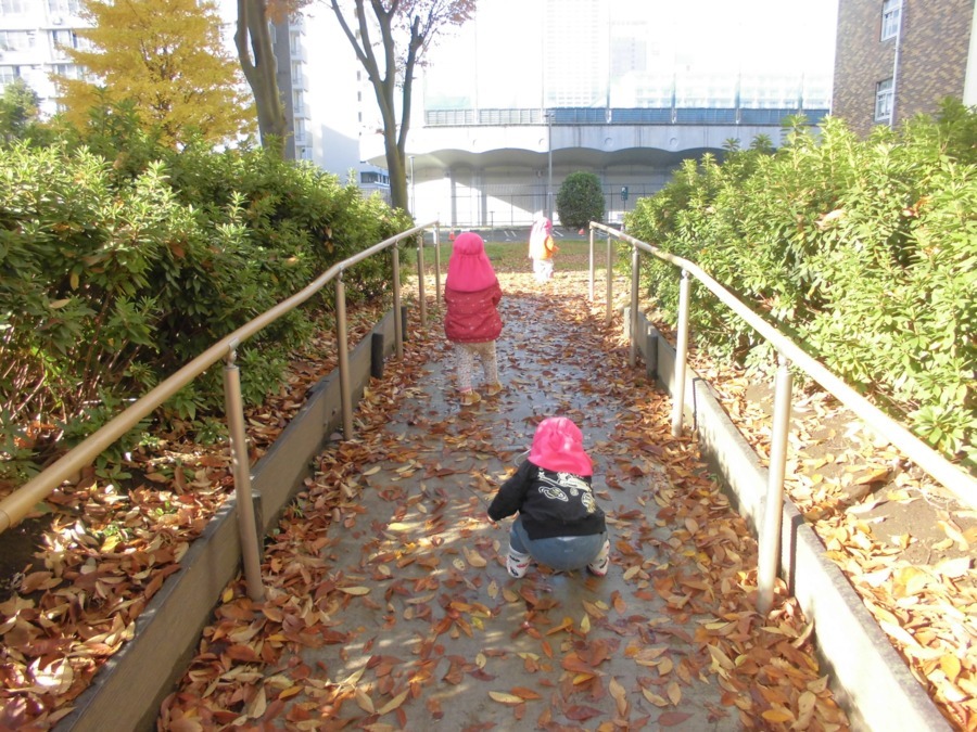陽だまり保育園の写真8枚目：