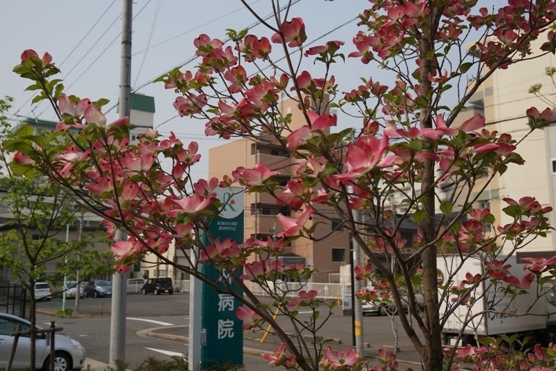 医療法人 恵愛会　小林病院の写真7枚目：