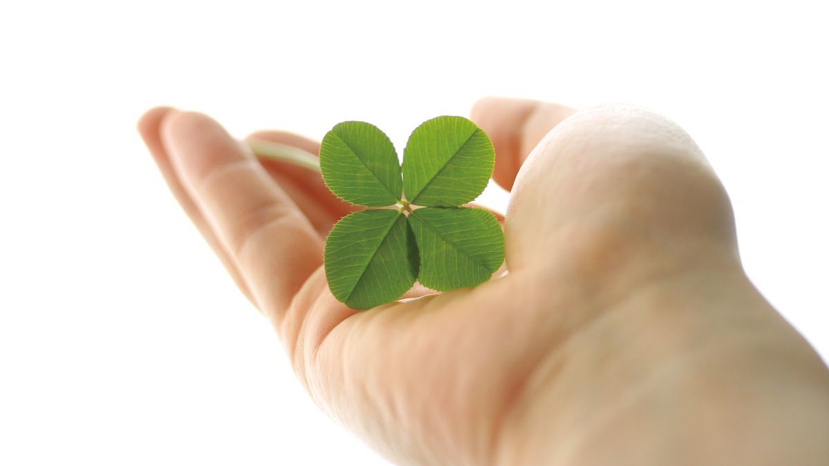 重度障がい児支援花色の写真