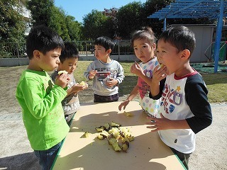 足立区立やよい保育園の写真3枚目：