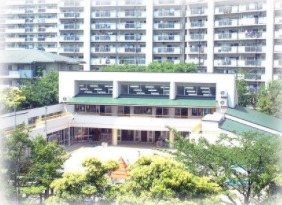 清新めぐみ幼稚園の写真