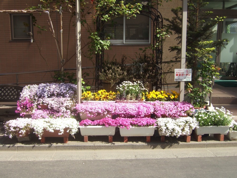 福島寿光会病院の写真7枚目：病院玄関前のお花は季節ごとレイアウトを替えています。