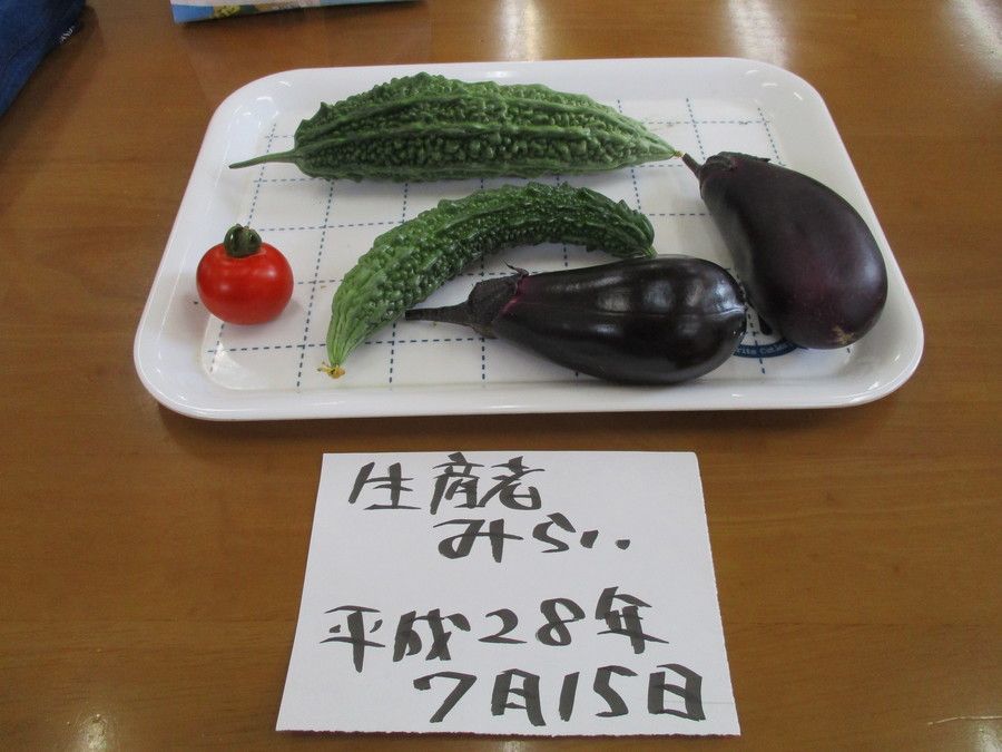 デイサービスセンターみらいの写真5枚目：作って、採って、調理して、食べる。すべてがご利用者の生活力へのアプローチです