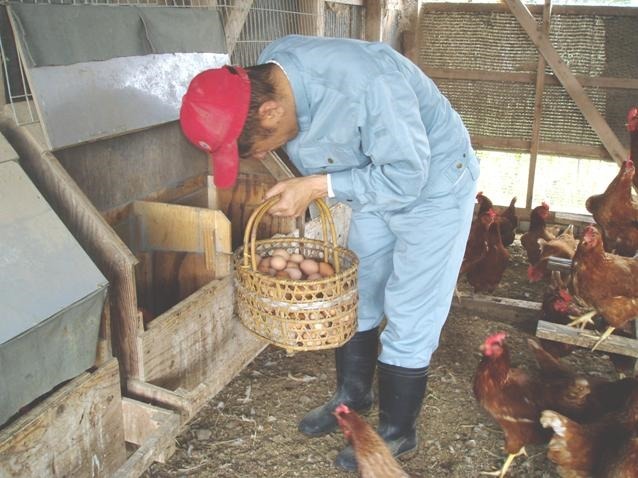 ひかりのさとファーム(生活支援員の求人)の写真4枚目: