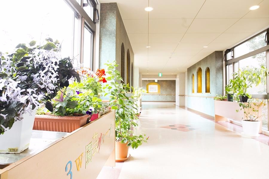 大島病院(公認心理師/臨床心理士の求人)の写真5枚目:院内には植物を多く配置しております