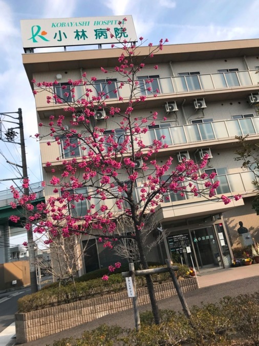 医療法人 恵愛会 小林病院の写真6枚目:
