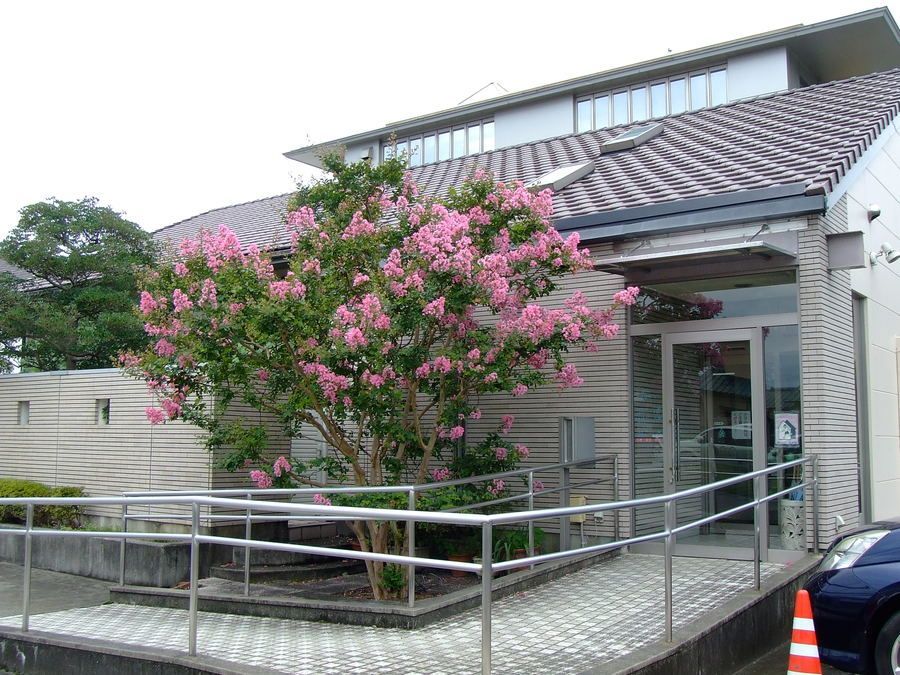 田中歯科医院の写真4枚目：入口は季節により花が咲きます