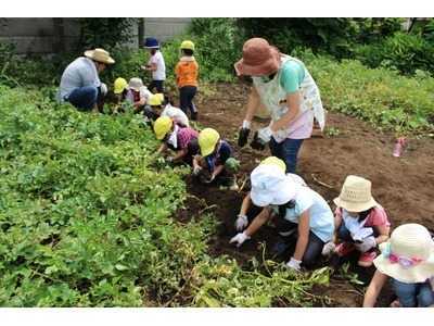 わかな保育園の写真4枚目：
