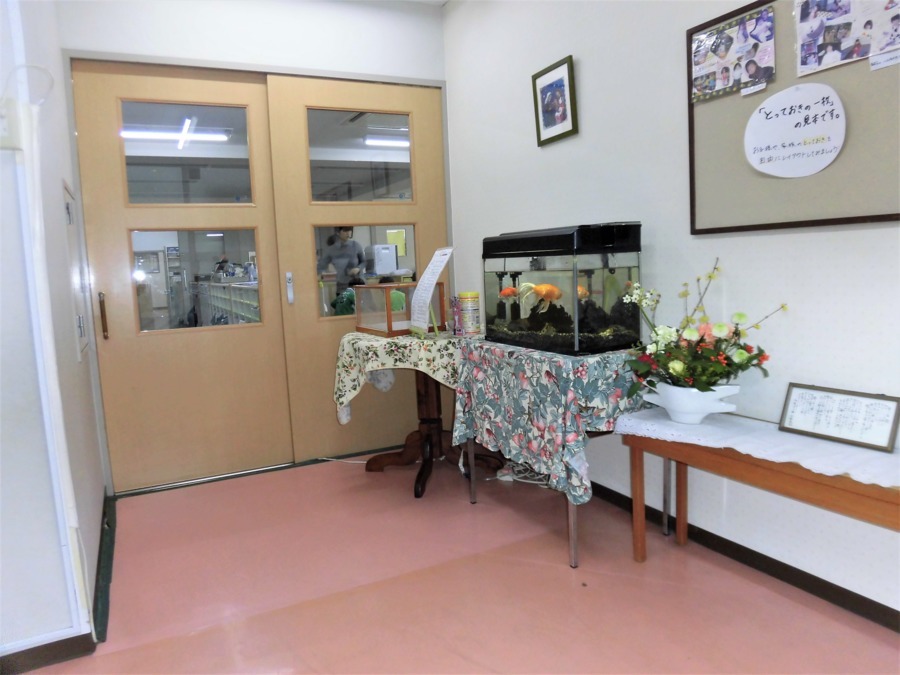 第二平和保育園の写真4枚目：