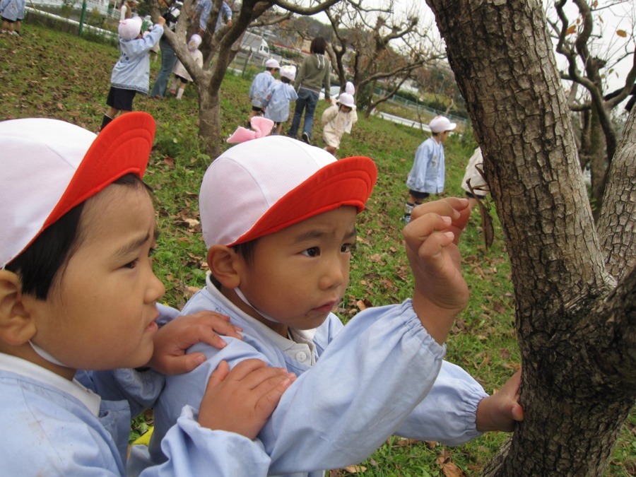 市ヶ尾幼稚園の写真3枚目：