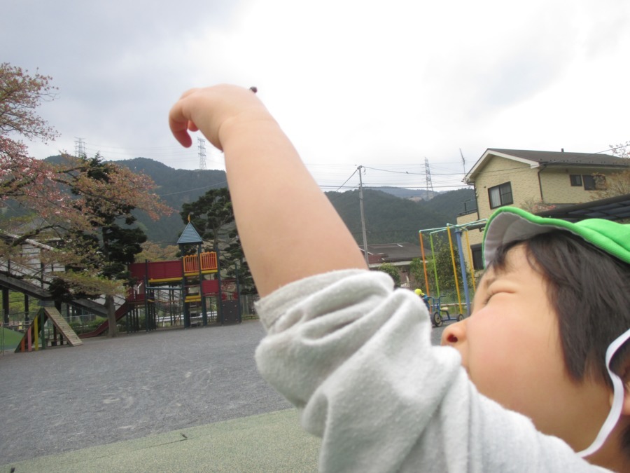 三田保育園の写真5枚目：