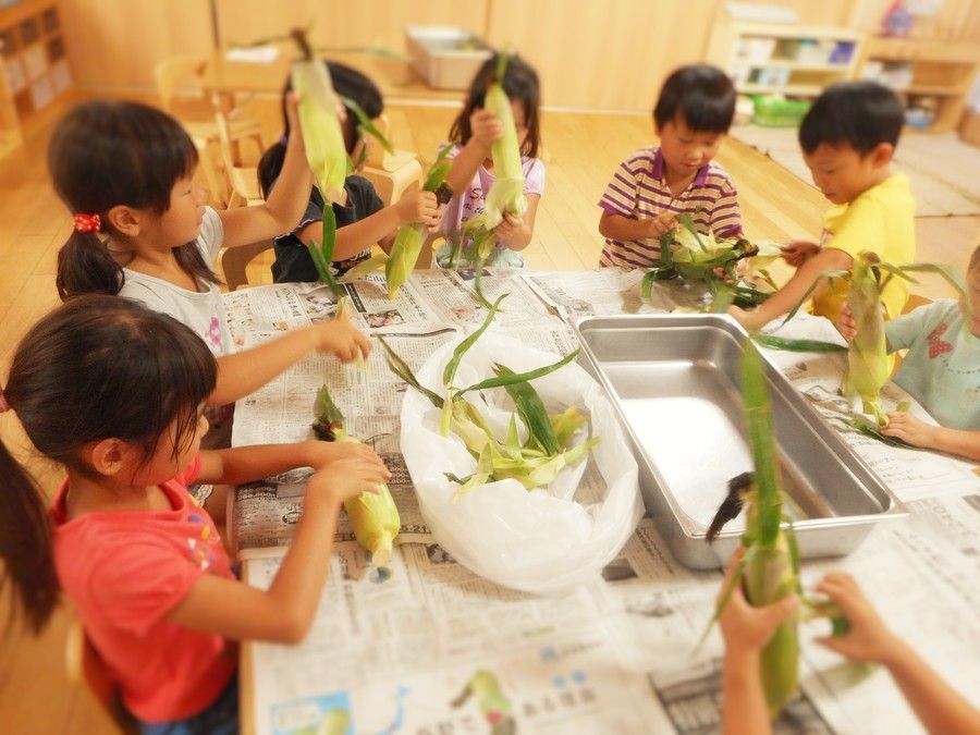 認可保育園　キディ百合丘・川崎の写真4枚目：自然との触れ合いも楽しめる環境です