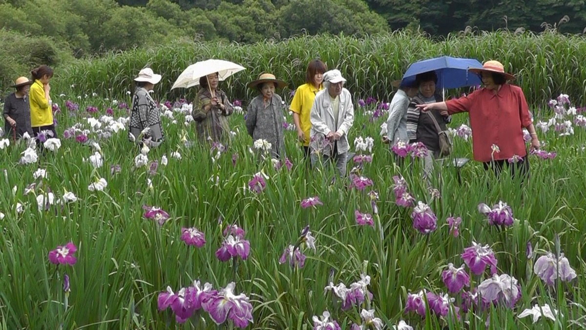 ケアハウス恵幸園（介護職/ヘルパーの求人）の写真2枚目：
