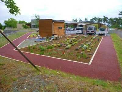 救護施設清山寮の写真3枚目:当施設の菜園です