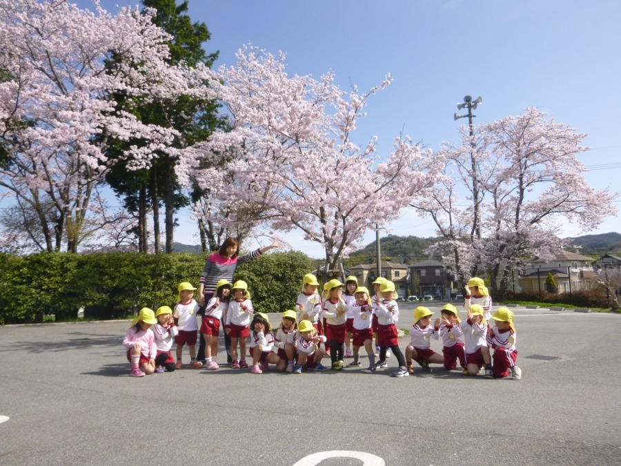 くまの中央保育園の写真4枚目：