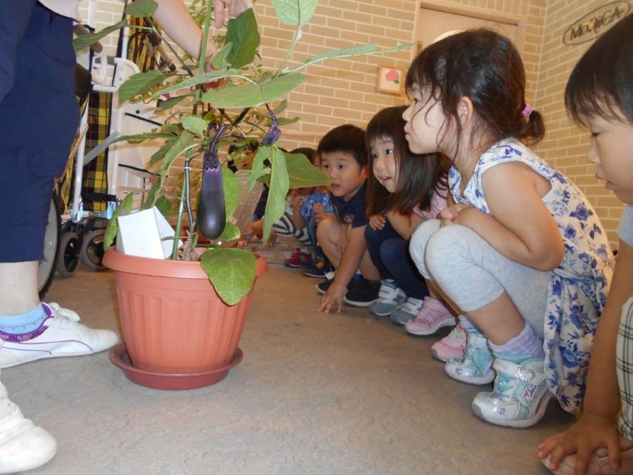 モニカ人形町園（管理栄養士/栄養士の求人）の写真5枚目：