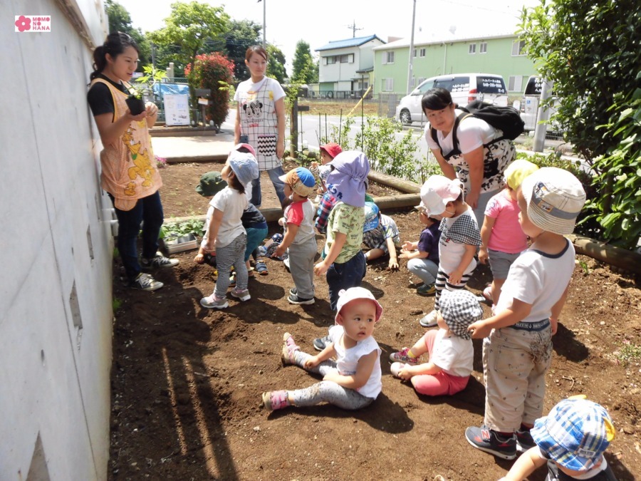 桃の花ナーサリー第2の写真6枚目：