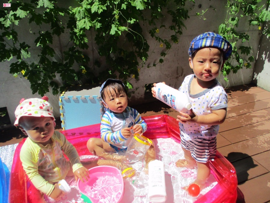 桃の花ナーサリー第2の写真8枚目：