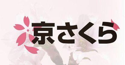 訪問看護ステーション京さくら(看護師/准看護師の求人)の写真:訪問看護とリハビリテーションに力をいれています