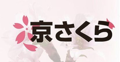 京さくら訪問看護ステーション北大路（看護師/准看護師の求人）の写真1枚目：訪問看護とリハビリテーションに力をいれています