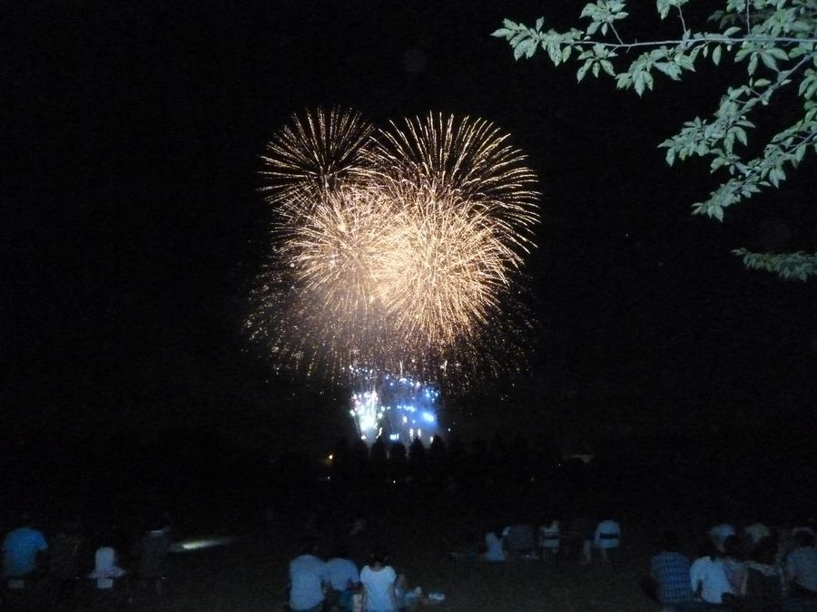 介護老人保健施設　ゆりの木の写真3枚目：入間川の花火大会鑑賞。毎年出かけている人気のイベントです☆