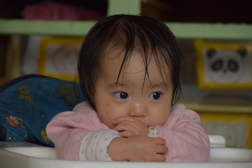 わかばコスモ極楽園の写真4枚目：