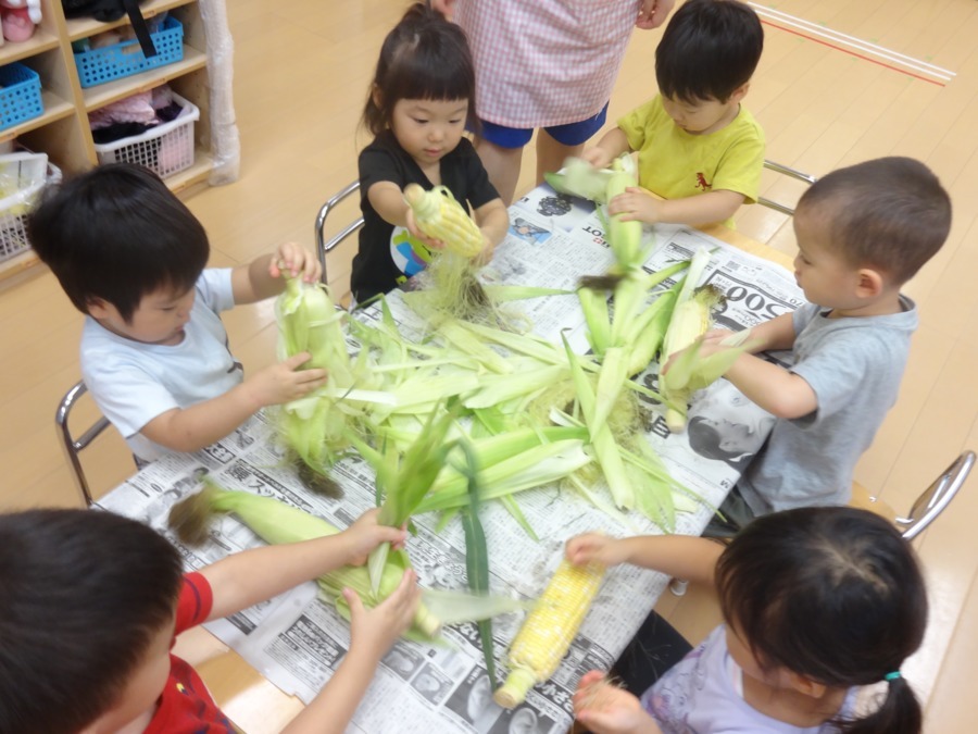 保育園トキ三鷹駅前園（保育士の求人）の写真3枚目：とうもろこしの皮むき中～☆