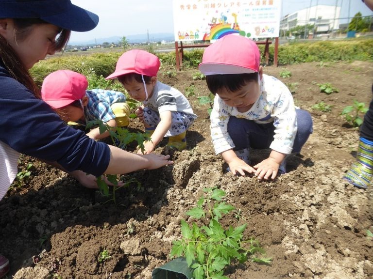 秀学会 所沢ハナミズキ保育園(保育士の求人)の写真: