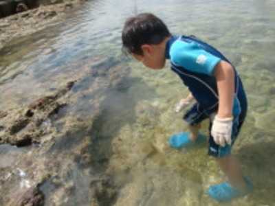 わんぱくしーさー保育園の写真2枚目：多くの経験で子どもたちが持つ無限の可能性を刺激します