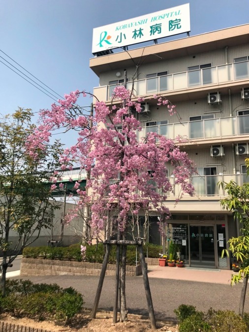 医療法人 恵愛会 小林病院の写真5枚目: