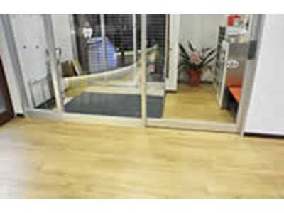 堀内歯科医院(歯科医師の求人)の写真7枚目:バリアフリーになってます!