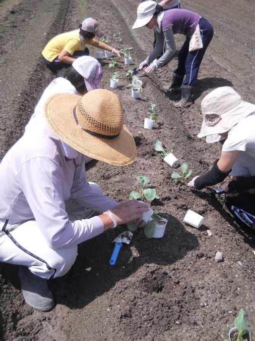 菩提の家（生活支援員の求人）の写真2枚目：自家農園での野菜栽培