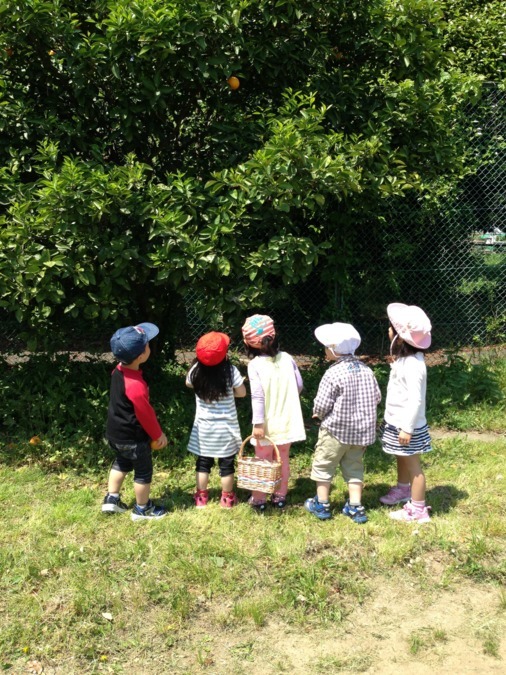 佑和保育園の写真27枚目：