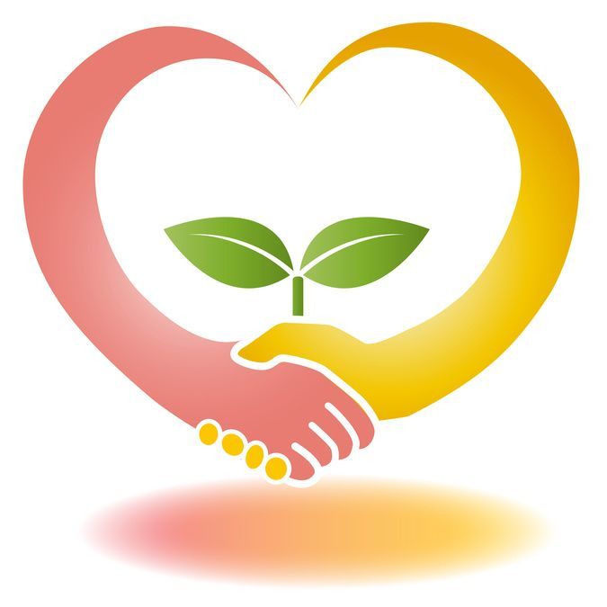 すいっちJrの写真