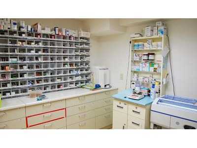 ゆり薬局(薬剤師の求人)の写真5枚目: