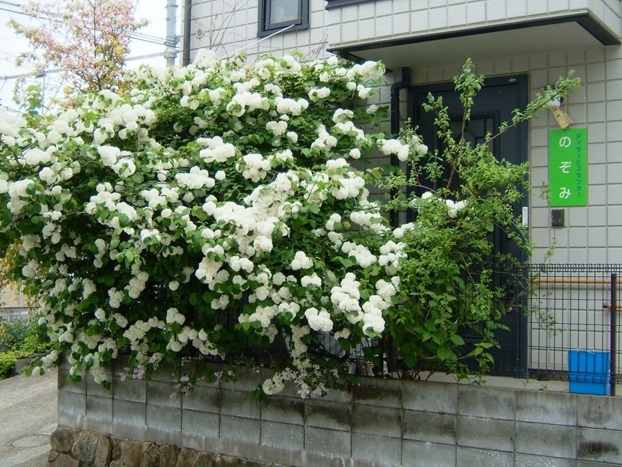 のぞみ相談所の写真