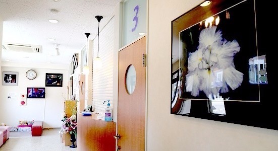 アイリス歯科(歯科衛生士の求人)の写真:安芸区矢野東にある歯科医院です