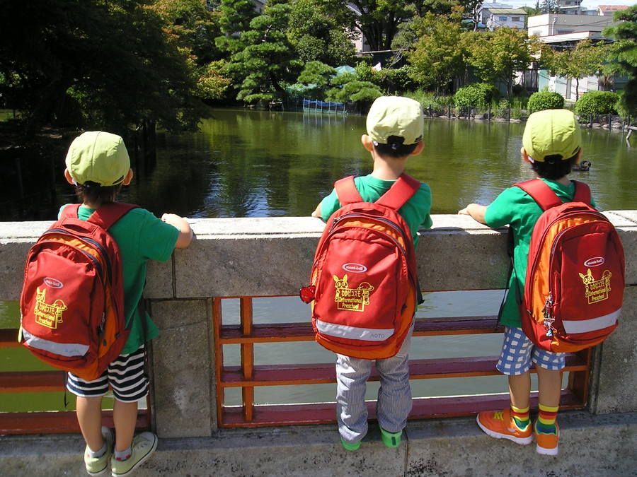 わかばコスモ極楽園の写真2枚目：