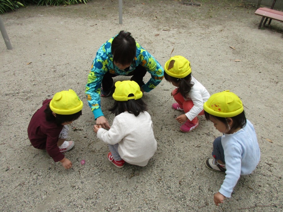 カルチャー保育園の写真4枚目：