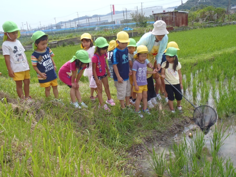 たんぽぽ第二保育園の写真8枚目：