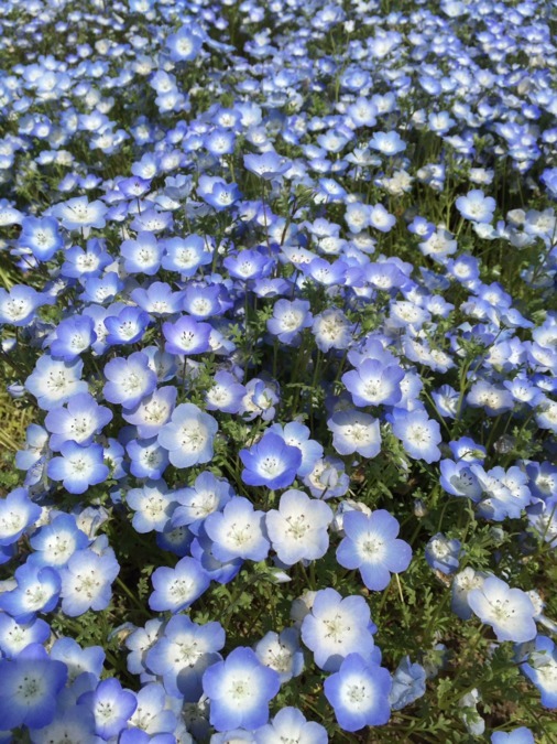 レイス治療院水戸の写真2枚目：