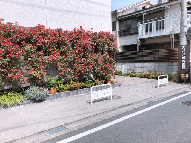 医療法人桜樹会　カオス歯科（歯科衛生士の求人）の写真3枚目：