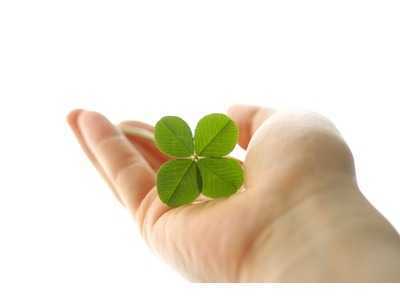 GHでぃあふれんずの写真