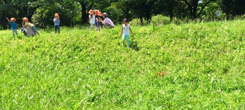 陽だまり保育園の写真5枚目：