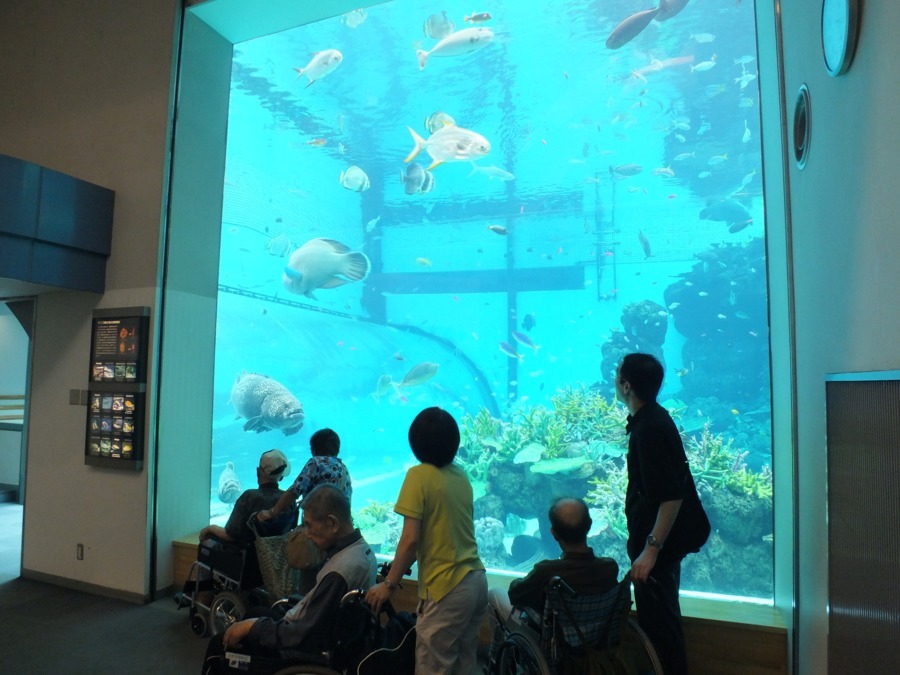 住宅型有料老人ホーム　さわやかの丘の写真4枚目：外出レクは水族館、動物園等、季節によっては桜や紅葉も見にでかけます。